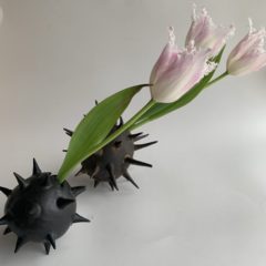 フリーアングルで花を楽しむ