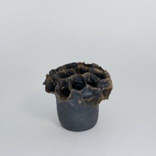 scabiosa vase (bronze)
