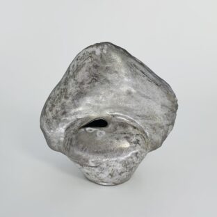 entada glandulosa vase (white × silver)