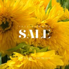 セールのお知らせ