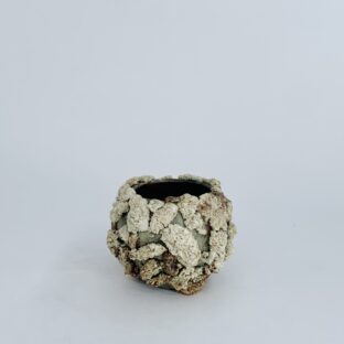 GENDO moss pot (light beige × green)