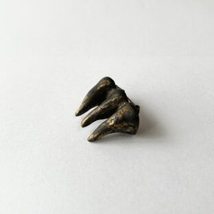 rose thorn brooch (antique gold)