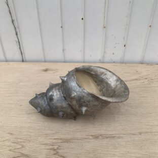 FADED Silver 4/conch shell